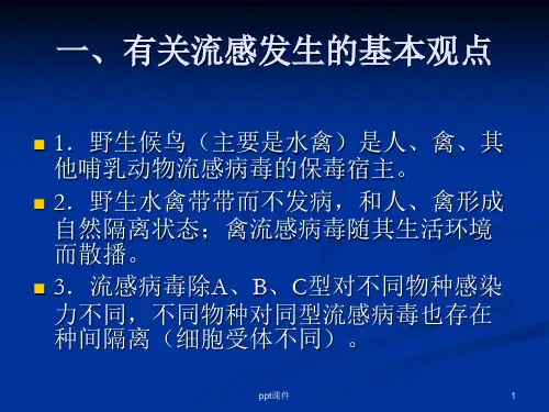 禽流感及其防控-ppt课件.ppt