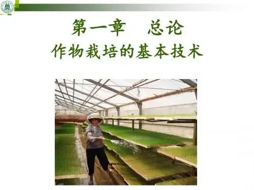 播种技术