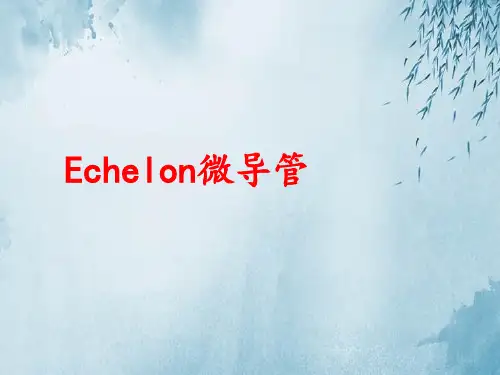 Echelon微导管