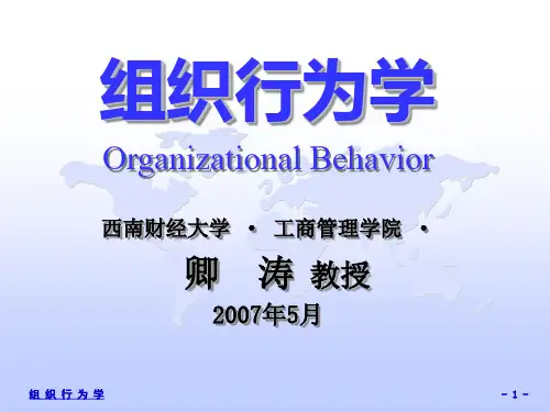 MPA课程组织行为学第一讲导论.ppt