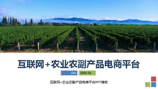 互联网农业农副产品电商平台介绍课件PPT模板