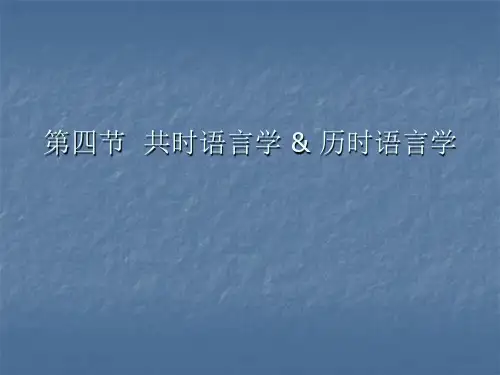 第四节 共时与历时