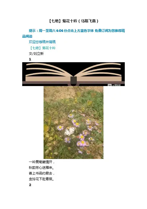 【七绝】菊花十吟（马踏飞燕）