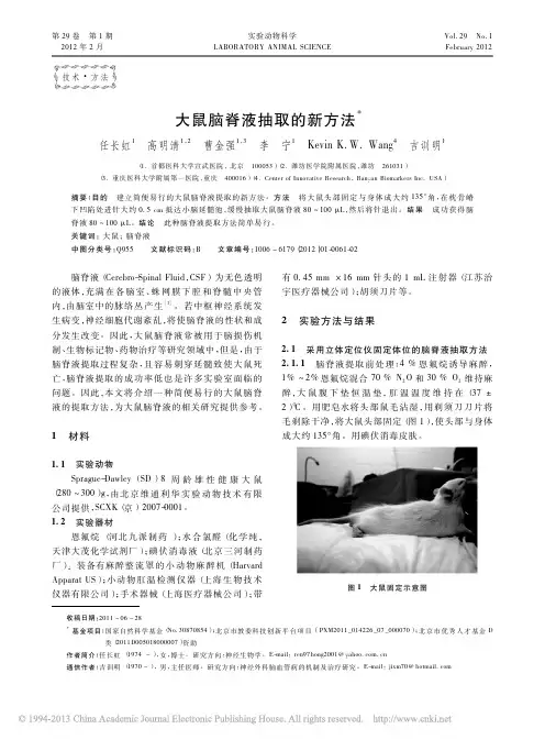 大鼠脑脊液抽取的新方法