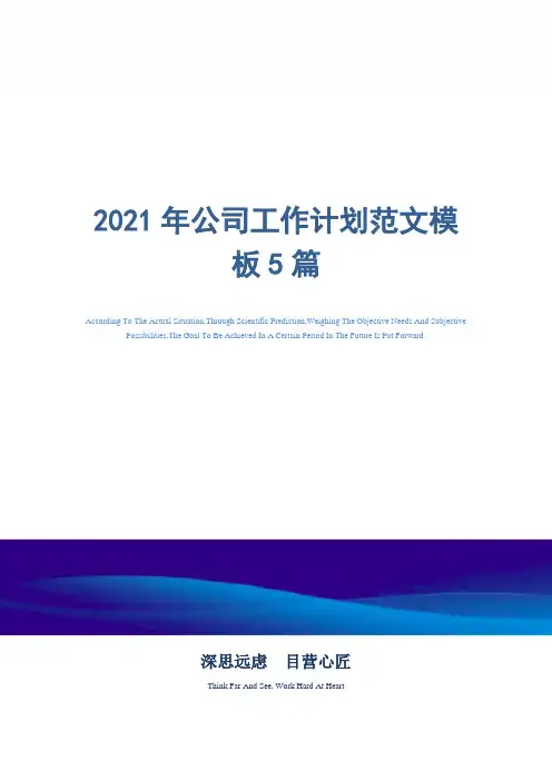 2021年公司工作计划范文模板5篇精选