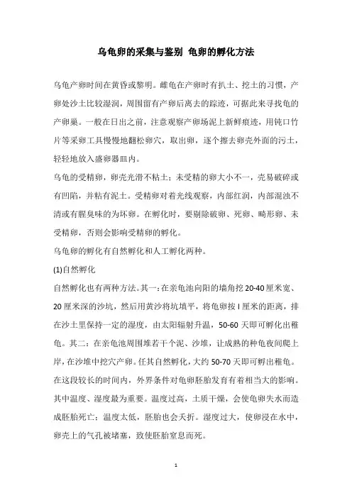 乌龟卵的采集与鉴别 龟卵的孵化方法