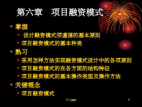《融资模式》PPT课件