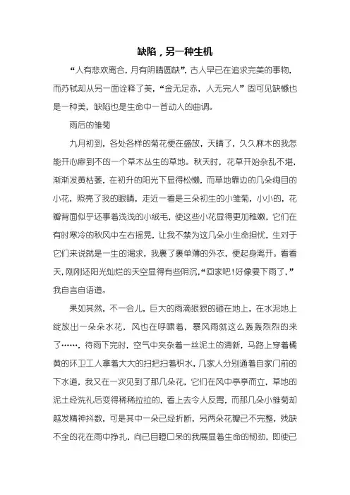 高二作文：缺陷,另一种生机作文900字