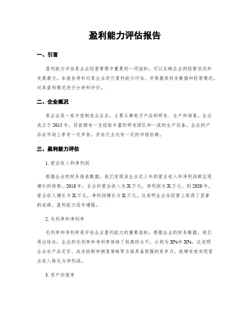 盈利能力评估报告