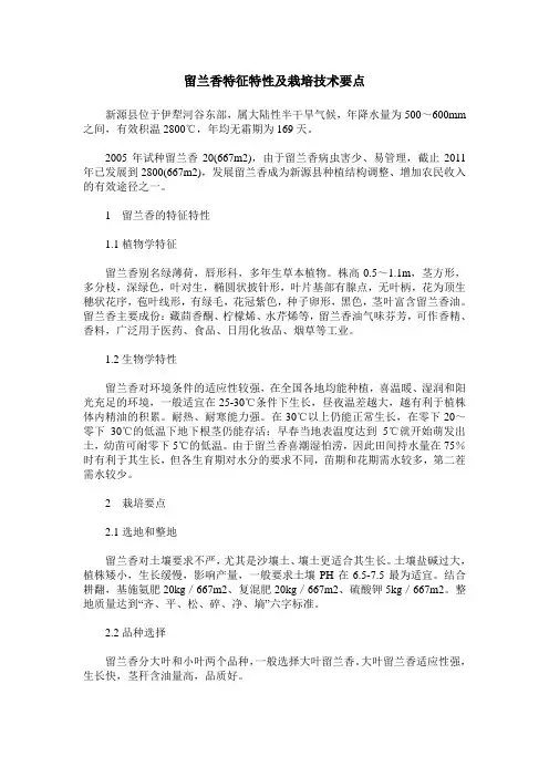 留兰香特征特性及栽培技术要点