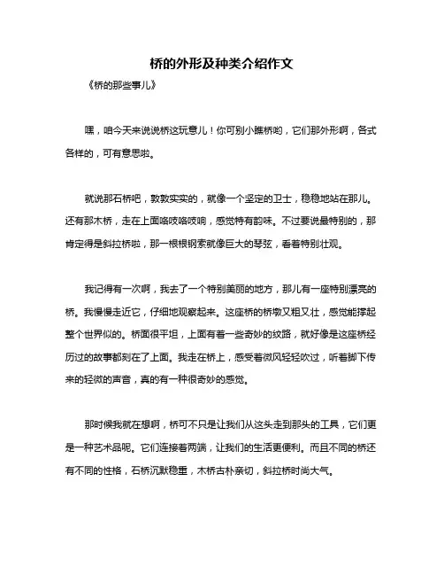 桥的外形及种类介绍作文