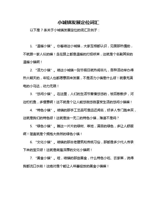 小城镇发展定位词汇