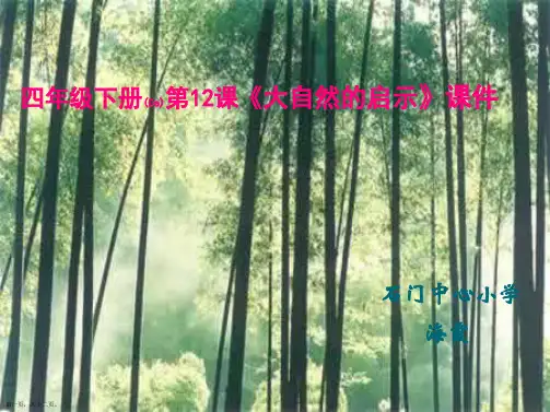 小学四年级语文下《大自然的启示》课件
