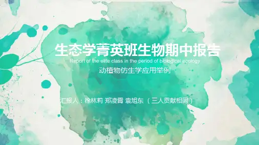 动植物仿生学应用举例