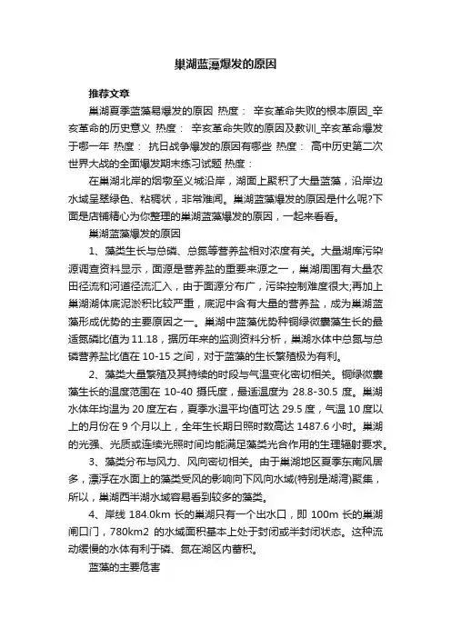 巢湖蓝藻爆发的原因