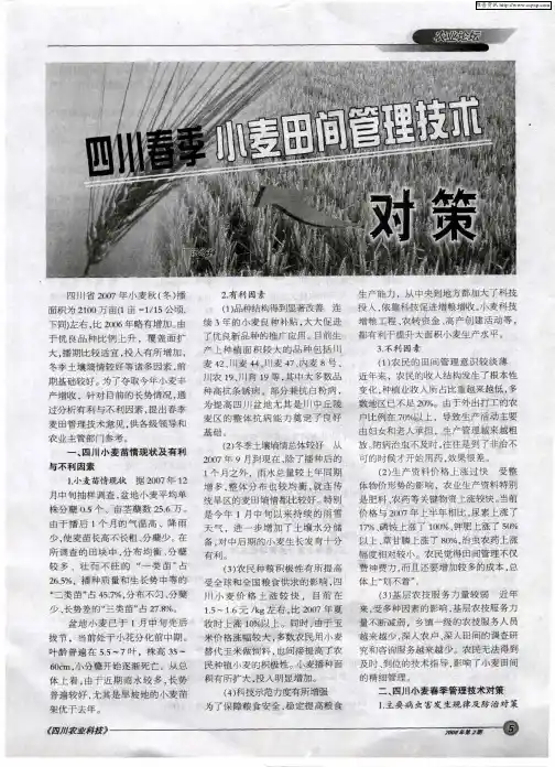 四川春季小麦田间管理技术对策