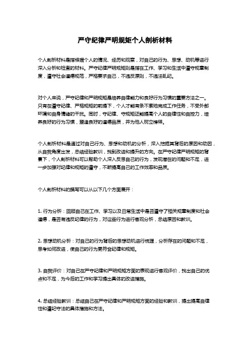 严守纪律严明规矩个人剖析材料