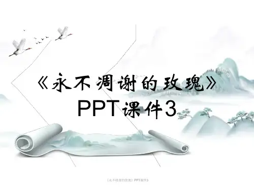 《永不凋谢的玫瑰》PPT课件3