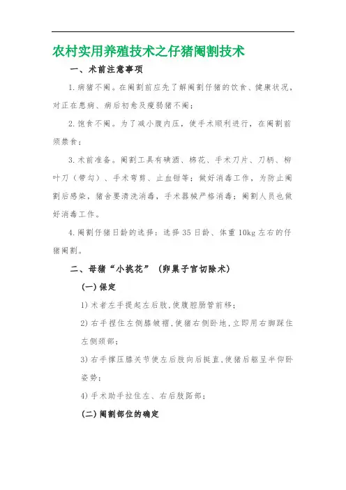 农村实用养殖技术之仔猪阉割技术