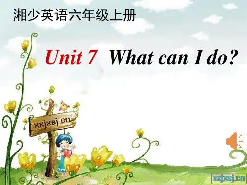 what can i do (精品课件)