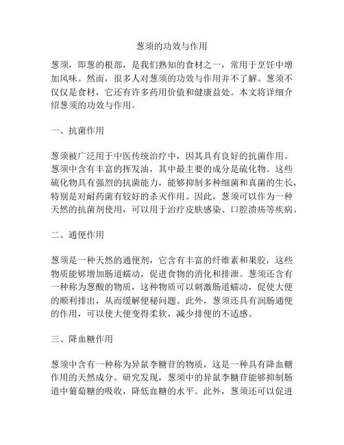 葱须的功效与作用