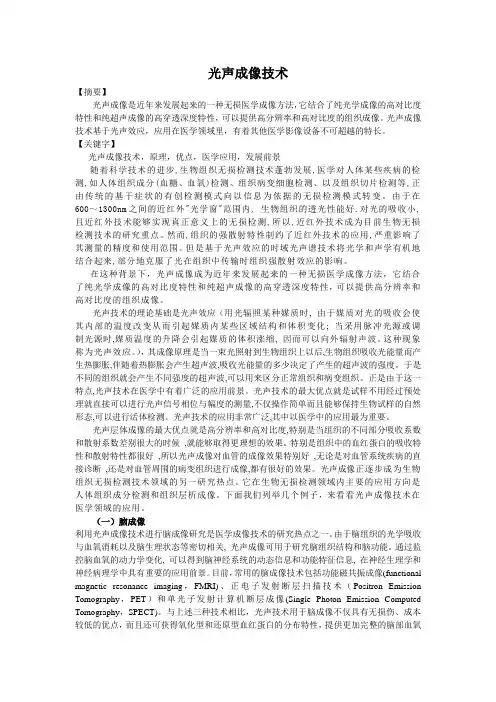 光声成像论文
