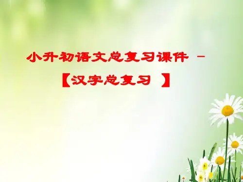 【小升初】语文总复习课件 【汉字总复习 】