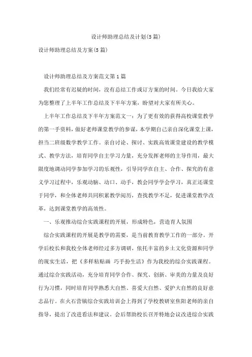 设计师助理总结及计划(5篇)