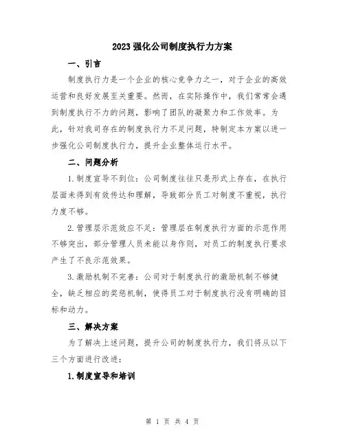 2023强化公司制度执行力方案