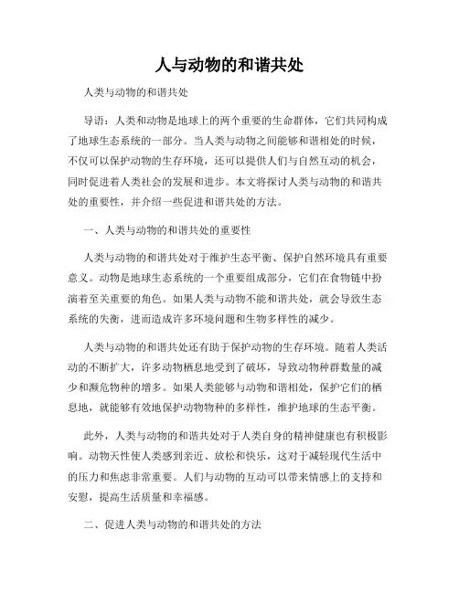 人与动物的和谐共处