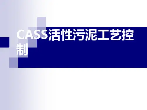 污水处理_CASS_CAST_SBR_工艺_活性污泥控制