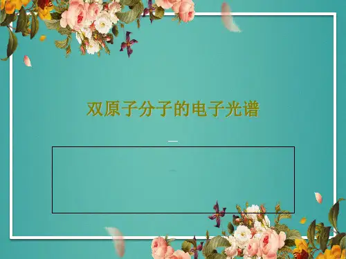 双原子分子的电子光谱共53页