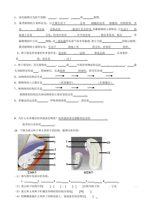 绿色植物分为四个类群