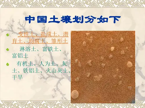 第四节土壤类型