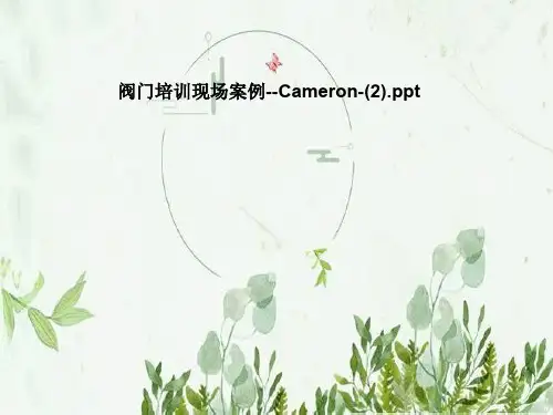 阀门培训现场案例--Cameron-(2)