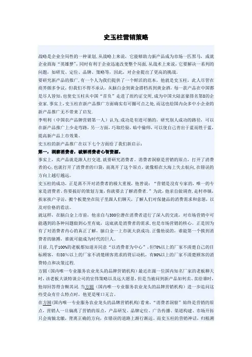 史玉柱营销策略