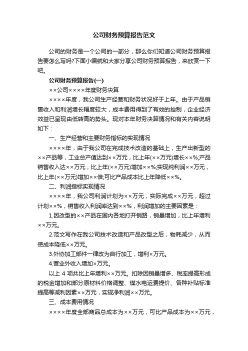公司财务预算报告范文