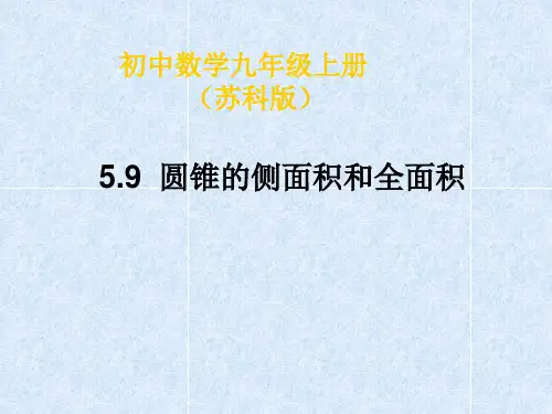 圆锥的侧面积和全面积课件ppt