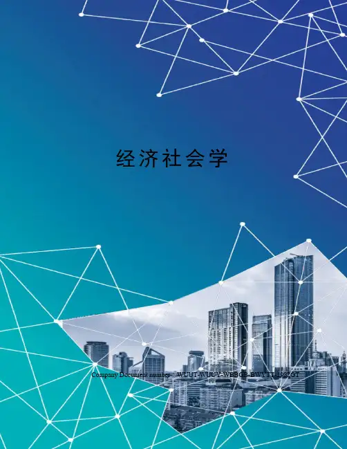 经济社会学