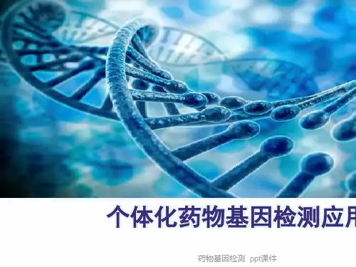 药物基因检测 ppt课件