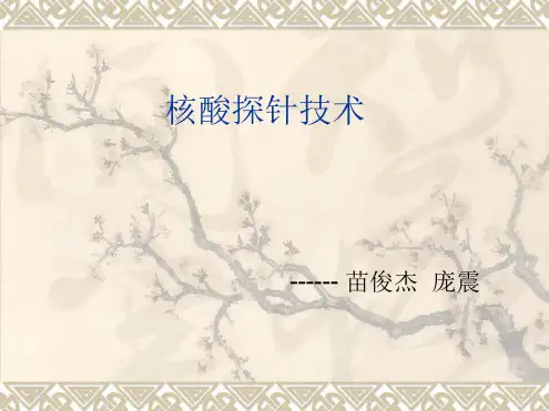 核酸探针技术
