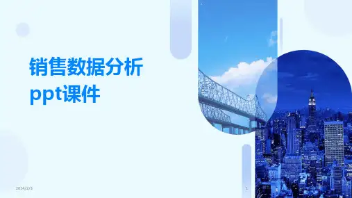 2024年度销售数据分析ppt课件