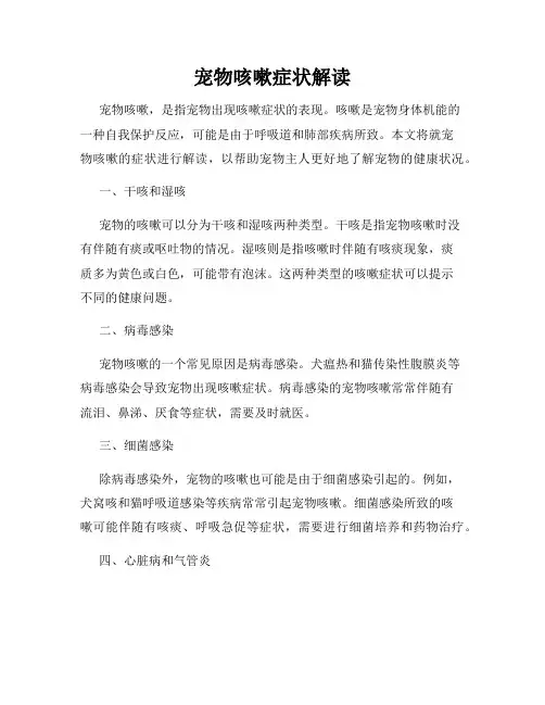 宠物咳嗽症状解读