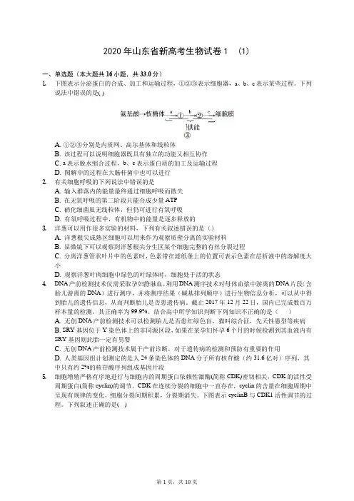 2020年山东省新高考生物试卷1  (1)(含答案解析)