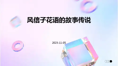 风信子花语的故事传说
