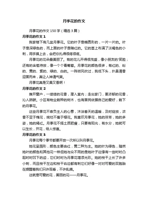 月季花的作文150字（精选3篇）