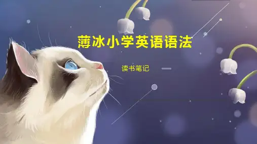薄冰小学英语语法