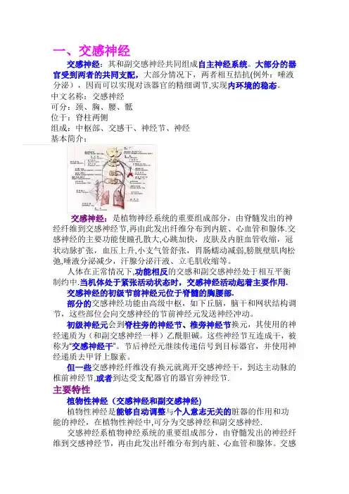 交感神经与副交感神经