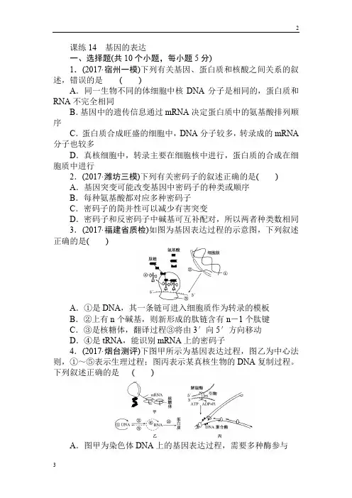浙江省2019年高三生物一轮复习课练14 基因的表达 Word版含解析