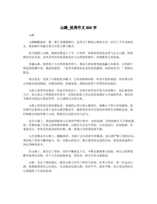 山路_优秀作文800字